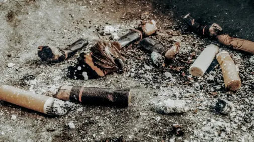 Vaping-s-95-Reduction-in-Harm-Compared-to-Traditional-Cigarettes Alternative pods | Online Vape & Smoke Shop