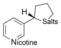 Your 2023 Handbook on Salt Nicotine