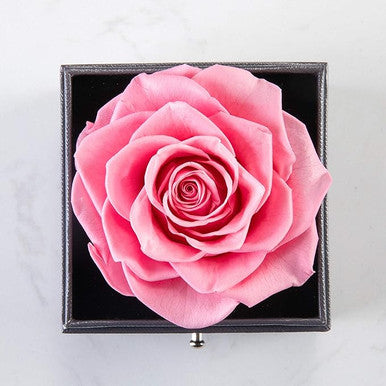 THS Gifts - Preserved Rose in Gift