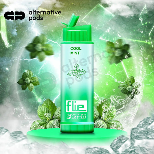 Flie Fatty 8000 Puffs Disposable Vape - Cool Mint 