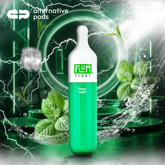 FLUM FLUM