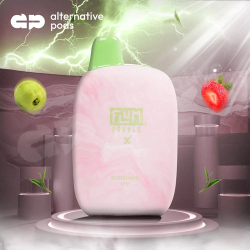 Vape Flum Pebble FLUM Pebble 6000 Puffs Disposable Vape Rechargeable 5%  Nicotine  WT VAPE Flum Pebble Vapes