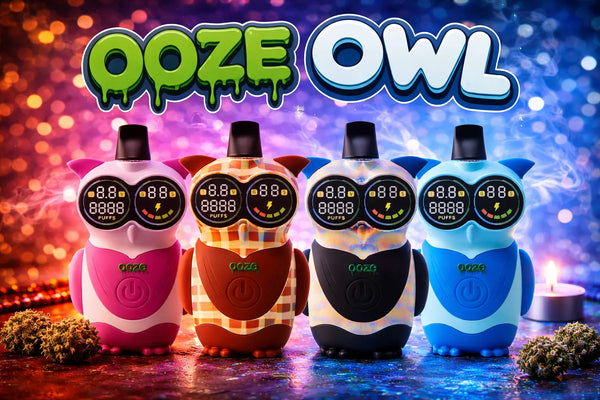 Hoot Character Vape – 650 mAh