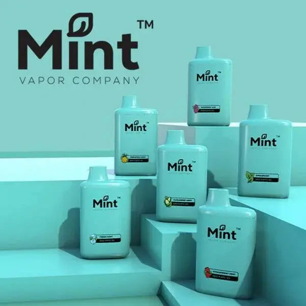 Mint by MNKE Bars Disposable - Alternative pods | Online Vape & Smoke Shop