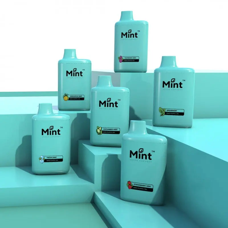 Mint by MNKE Bars Disposable - Alternative pods | Online Vape & Smoke Shop