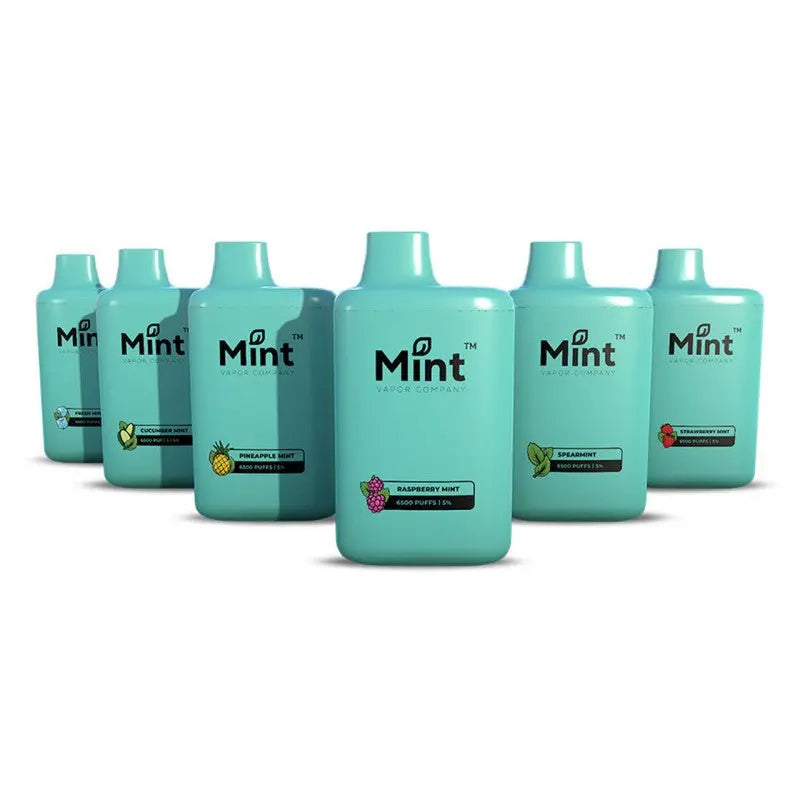 Mint by MNKE Bars Disposable - Alternative pods | Online Vape & Smoke Shop