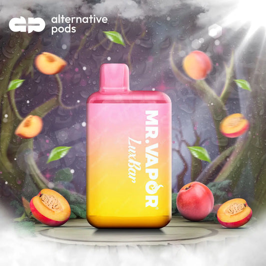 Mr Vapor Luxbar 5% Salt Nic 11ml 5000 Puffs Disposable - Alternative pods | Online Vape & Smoke Shop