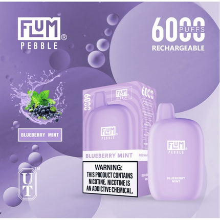 Flum Pebble 6000 Disposable-BLUEBERRY MINT
