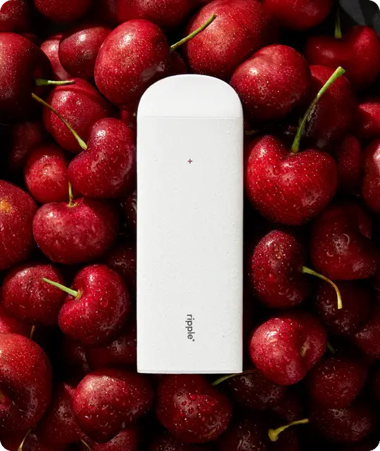 Ripple+ Disposable 1000 - BURST Cherry Zero Nicotine Ripple+ Disposable 1000 - BURST Cherry Zero Nicotine