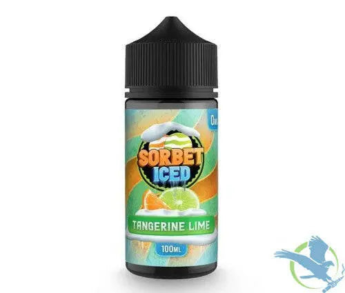 Sorbet Iced Synthetic Nicotine E-Liquid 100ML