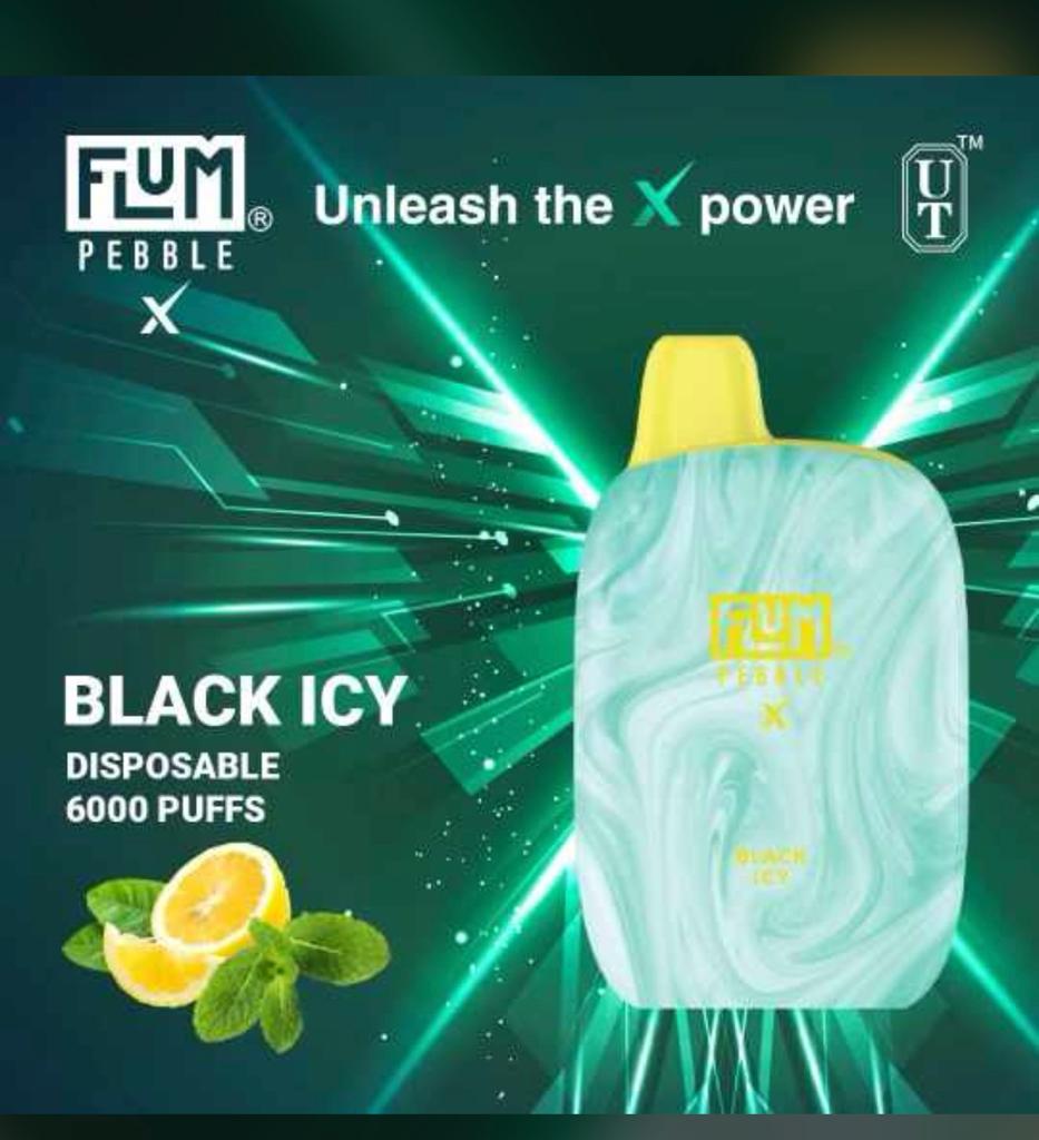 Flum Pebble X 6000-Black Icy