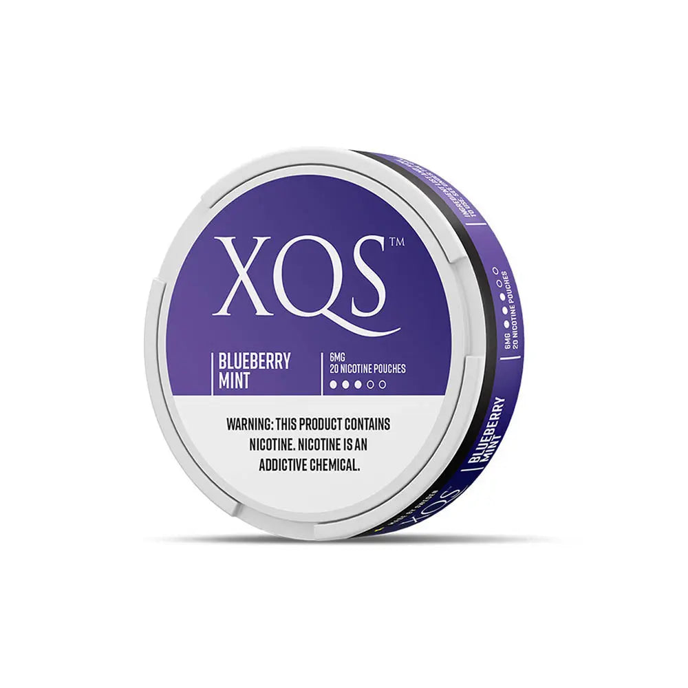 XQS Slim Pouches - Blueberry Mint 